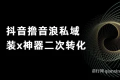 抖音撸音浪私域二次转化项目：单日变现超500详细教程