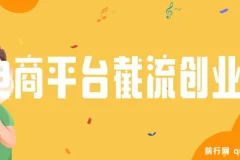 电商平台截流付费创业粉课程：月变现六位数，简单好上手！