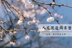 人文花道美学营：领略东方花道之美