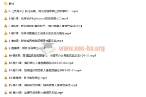 一晨叔叔人像修图调色实战训练营