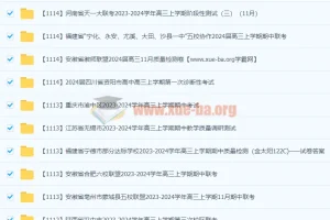 2024届高三11月名校试卷合集