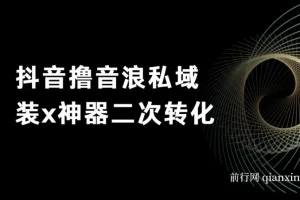 抖音撸音浪私域二次转化项目：单日变现超500详细教程