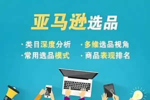 阿甘亚马逊跨境电商利基选品案例课