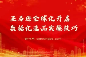 亚马逊全球化开店数据化选品实操技巧课程