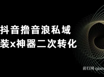 抖音撸音浪私域二次转化项目：单日变现超500详细教程