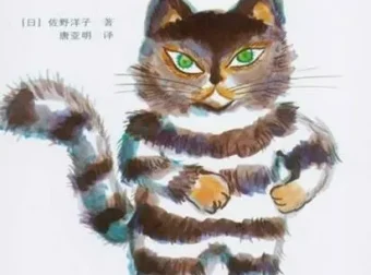 儿童经典绘本故事《活了100万次的猫》PPT