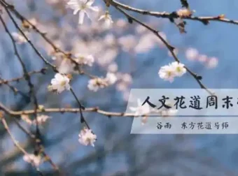 人文花道美学营：领略东方花道之美