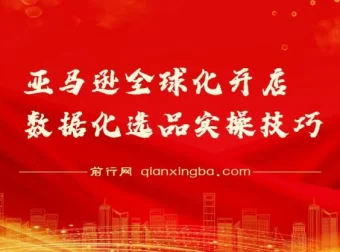 亚马逊全球化开店数据化选品实操技巧课程