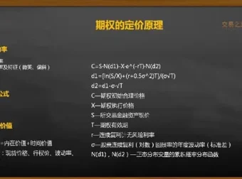 陈凯期权交易系统课程