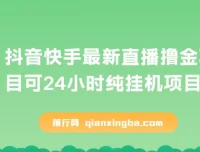 抖音快手直播撸金项目：可24小时纯挂机的赚钱新玩法