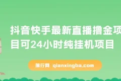 抖音快手直播撸金项目：可24小时纯挂机的赚钱新玩法