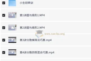 刘庆涛小学数学六年级秋季课程