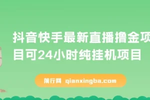 抖音快手直播撸金项目：可24小时纯挂机的赚钱新玩法