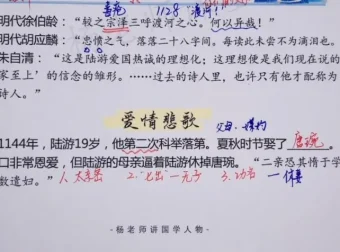 杨老师精讲中国文学史与诗词鉴赏课程