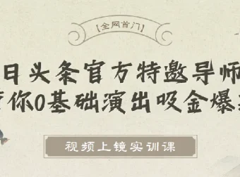 视频上镜实训课：今日头条官方特邀导师带你0基础打造吸金爆款