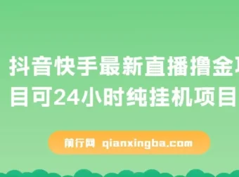 抖音快手直播撸金项目：可24小时纯挂机的赚钱新玩法