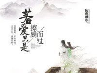 有声小说《若爱只是擦肩而过》43集全