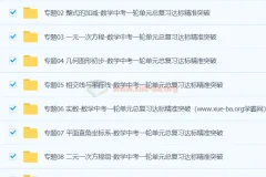 中考数学一轮总复习专题讲义训练