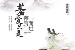 有声小说《若爱只是擦肩而过》43集全