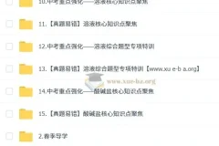 陈潭飞初三化学中考培训课程（春上·全国版·A+）