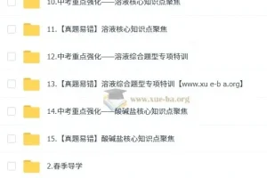 陈潭飞初三化学中考培训课程（春上·全国版·A+）