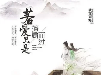 有声小说《若爱只是擦肩而过》43集全