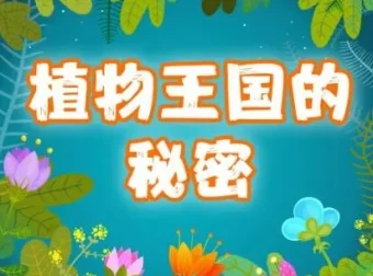 儿童故事《植物王国的77个小秘密》 精灵袋鼠妈妈播讲77集