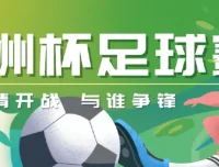 2024欧洲杯足球赛多场精彩对决