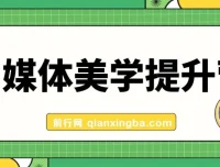 自媒体美学提升营：手把手带你提升品牌审美，做有调性博主（11节课）