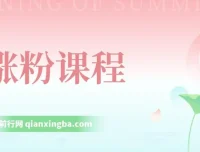 涨粉课程：助抖音快手等平台涨粉，小白可直接上手日入可观