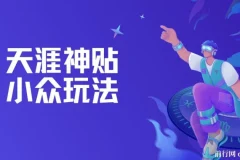 天涯神贴小众玩法教程：冷门赛道，坚持更新日赚可观