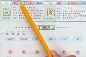 700套小学知识点全攻略：数学语文高效学习