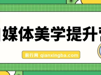 自媒体美学提升营：手把手带你提升品牌审美，做有调性博主（11节课）