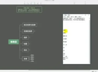 淘宝无货源精细化运营实战陪跑课：538节系统课程