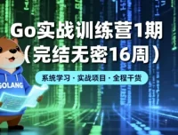 Go实战训练营1期