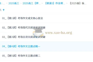 陈晨2025高三高考语文密训班