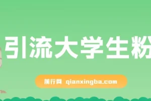 免费资料引流大学生粉项目：一部手机实现日入300+的蓝海项目