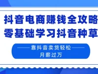 抖音电商赚钱全攻略：零基础学抖音种草卖货