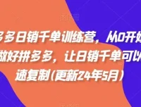 拼多多日销千单训练营：零基础快速复制日销千单店铺