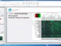生物信息学进阶：基因与表观遗传数据分析实战课程