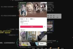 成人用品电商创业指南：新手开启月入数万秘籍