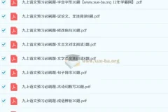 渊明老师初中语文新九年级暑假预习资料包