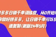 拼多多日销千单训练营：零基础快速复制日销千单店铺