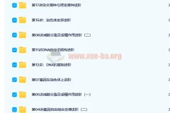 陆薇薇-高二生物必修2目标满分班（人教版）