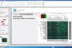生物信息学进阶：基因与表观遗传数据分析实战课程
