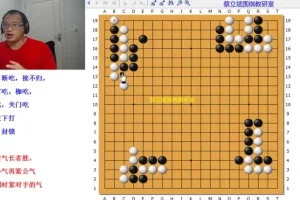 蔡立斌零基础围棋入门：20天从规则到实战