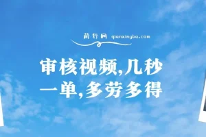 审核视频项目：几秒一单，多劳多得，新人小白轻松日赚300+