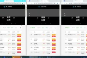 国内问卷调查创业教程：助小白日入1k的稳定指南