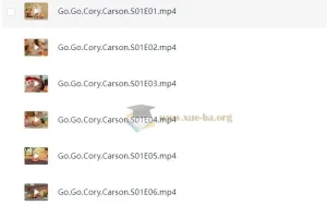 学龄前英语启蒙动画《Go！Go！小小车向前冲》