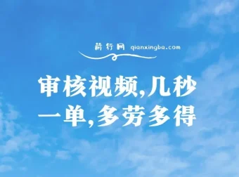 审核视频项目：几秒一单，多劳多得，新人小白轻松日赚300+